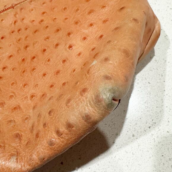 Dooney & Bourke Dillen Ostrich Leather Pink Shoulder Hobo Bag - Picture 5 of 8